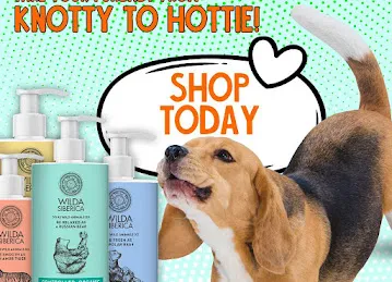 Fish Suppliers - Umm Suqueim Pet Shop