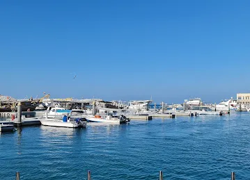 Fishing Harbor 3