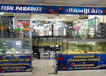 Fishparadise