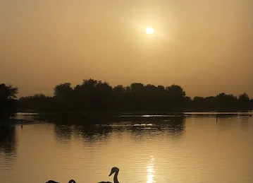 Flamingo Lake