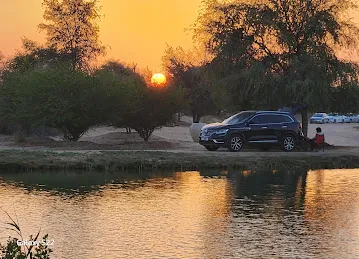 Flamingo Lake