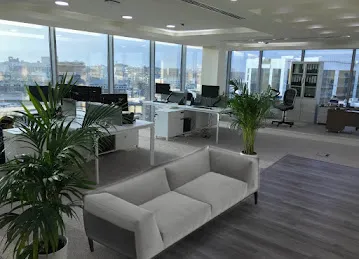 Flex Tech Solutions L.L.C