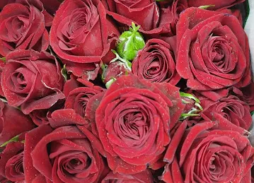 Floral Market Flower - Online Flower Marketplace - wholesale Delivery