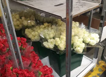 Floranow