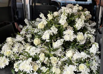 Floraty online