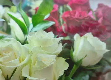 Flower bay