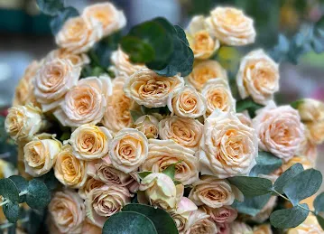 Flower District Rahmania Mall