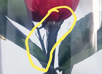 Flowers with Love