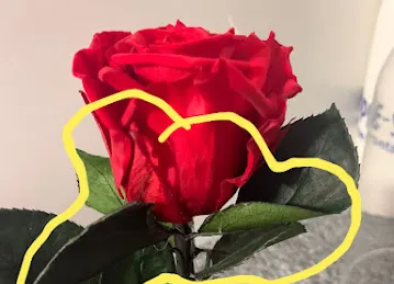 Flowers with Love
