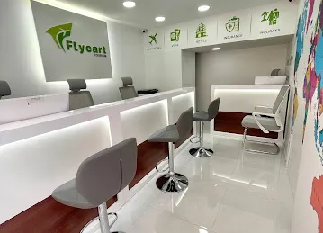 Flycart Tourism