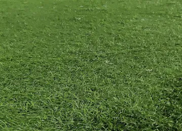 Football Ground