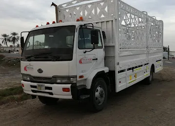 For You Transport.L.L.C,Rasalkhaimha