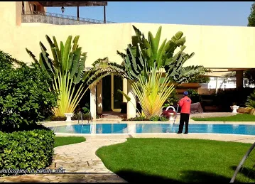 Forever Green Real Estate and Landscape LLC