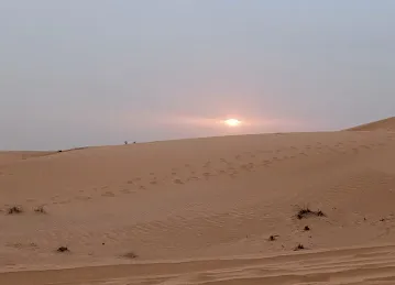 Fossil Rock Desert Safari Dubai(Tour Operators)