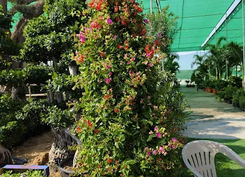 Four Season City Garden Design