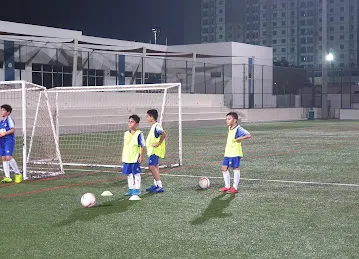 Foxes Sport Academy