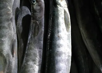 Fresh Al Batheen Fish Trading