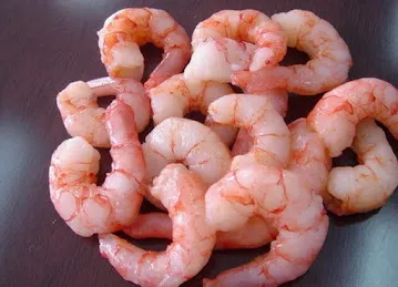 Frozen Fish whole sale supplier