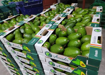 Fruit Line Trading (Shop B06)