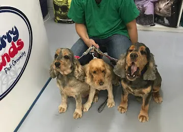 Furry Friends JVC