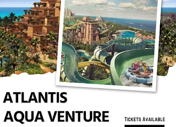 Future Tours & Travels
