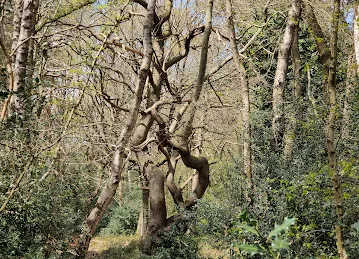 GaPakeLama