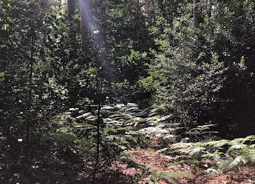 GaPakeLama