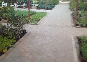Garden Center Nurseries