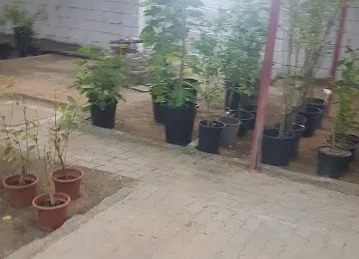 Garden Center Nurseries