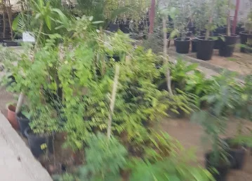 Garden Center Nurseries