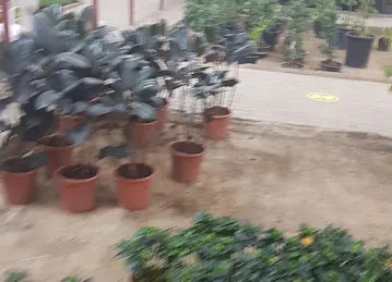 Garden Center Nurseries
