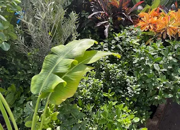 Garden Island