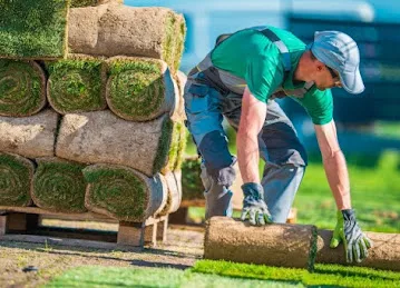 Garden Maintenance services Dubai