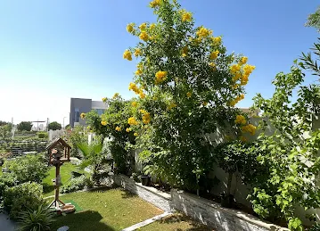 Gardenia Townhomes