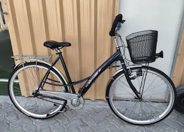 Gazalle Bicycle Repair