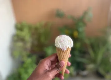 Gelato Divino Home (Head Office)
