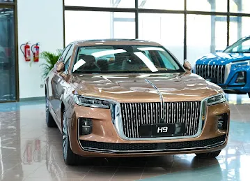 German Tech Motors LLC - Sharjah Branch