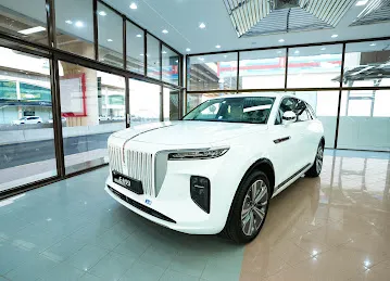 German Tech Motors LLC - Sharjah Branch