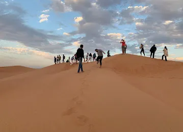 Get Your Tours