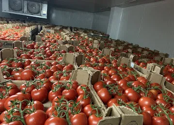 Global Fresh Fruits and Vegetables