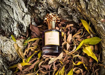 Global Perfumes Industry FZE