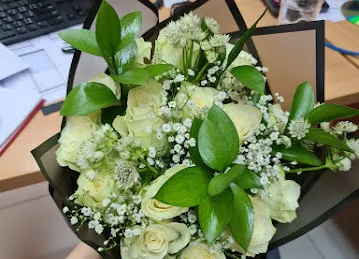 Glory flowers