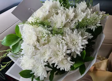 Glory flowers