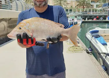 Go Fishing Dubai | Fishing Trips in Dubai UAE