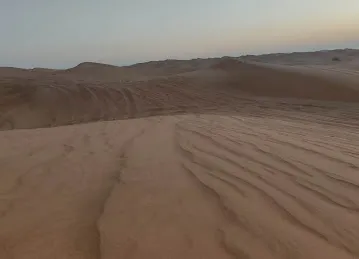 Go Go Desert Safari Tours Dubai