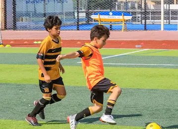 Golden Tigers Sports Academy