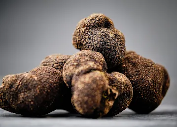 Golden Truffle