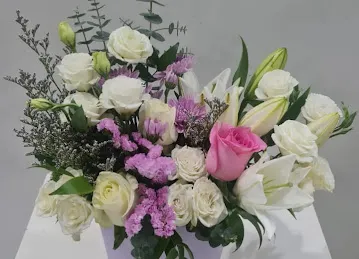 Golden Tulip Flowers