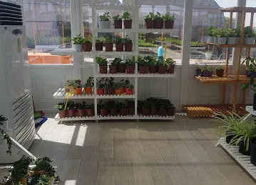 Goverment Plant Nursery - Dubai Municipality