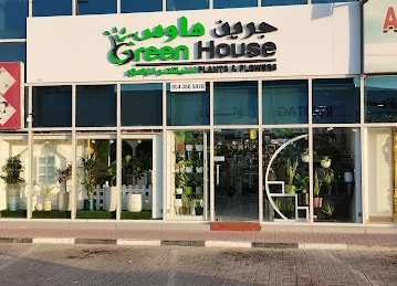 Green House Plants & Flowers